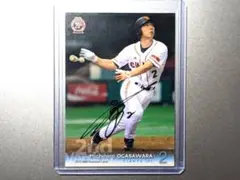 Item thumbnail for item 32daa062-8f85-4e86-b093-fea3c9ad8e1d