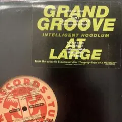 Intelligent Hoodlum Grand Groove 33 1/3r