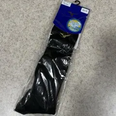 Item thumbnail for item 3c8893ad-d0e1-49b9-87a0-f225e32508f8