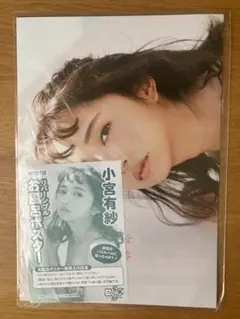 小宮有紗 ポスター 3枚セット