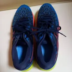 asics　ランニングシューズ　25.0　中敷きなし