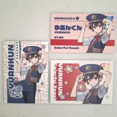 からぴちエクスプレス ゆあん カラフルピーチ カード 特典 切符風