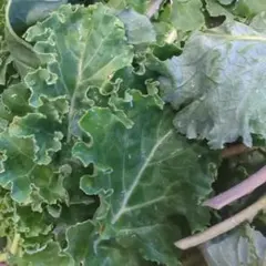 Item thumbnail for item c042e783-456c-416d-b5eb-f1225e0a5d23