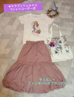 【ラプンツェル】一式6点＊☆＊ディズニーシー＊★＊ファンタジースプリングス