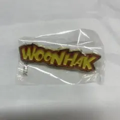BOYNEXTDOOR ボネクドWOONHAK ウナク ピンバッジ