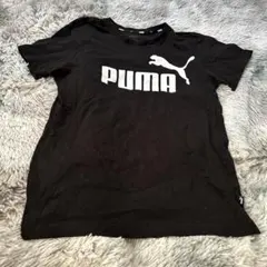 Item thumbnail for item 06380bdc-91b8-4fe1-bfcc-d3d8f007dccc