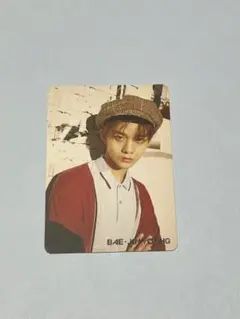 2026年最新】ぺジニョン トレカの人気アイテム - メルカリ