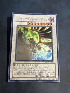 2026年最新】ブラックフェザードラゴン ホロの人気アイテム - メルカリ