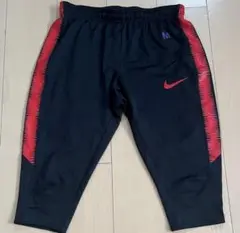 サンフレッチェ広島Nike 選手実使用ハーフパンツ Mサイズ ブラック/レッド