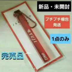 ☺️新品・未開封☺️★JSB LAND AFTER PARTY キーホルダー★