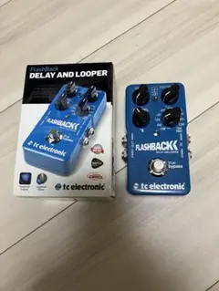 TC Electronic FLASHBACK DELAY AND LOOPER