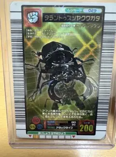 ムシキング　タランドゥスツヤクワガタ　2004ファースト