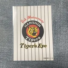 TAK MATSUMOTO「Tiger’s Eye」