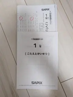 2025年最新】サピックステストの人気アイテム - メルカリ