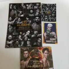 Item thumbnail for item f3cd2df9-a2a9-4caa-8c61-b2629194d7d0