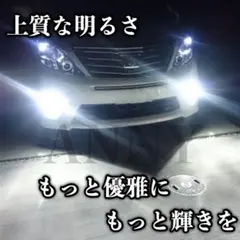 こば様 リクエスト 2点 まとめ商品