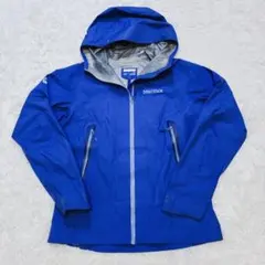 Item thumbnail for item 6c439add-4a2a-4375-b2f6-804e337b96c2