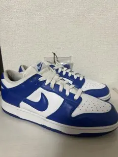 Nike ナイキ　スニーカー