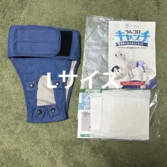 Item thumbnail for item 5de090ad-75a9-4ff2-9f33-d19009f057be