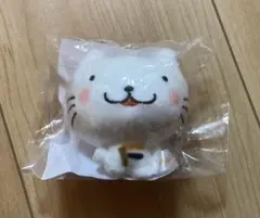 Item thumbnail for item 4073a9f5-5944-4b05-8956-e742c20bcb28