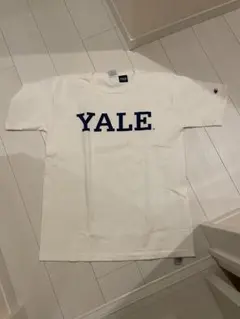 ★超美品★チャンピオン Tシャツ T1011 YALE 　イエール　Lサイズ
