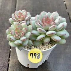 T-BEN❇️様 リクエスト 2点 まとめ商品