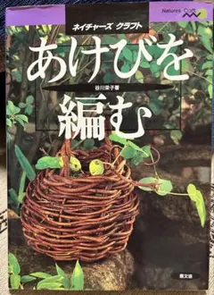 Item thumbnail for item b1ea848e-e434-4932-a2cc-9a95e2752bbf