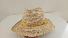 Item thumbnail for item 081fbbc2-e4d2-4793-9474-a569f53dad5c