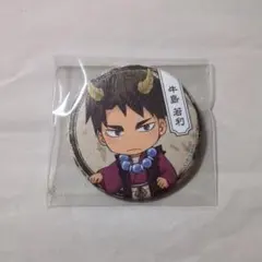 ハイキュー 百鬼夜行 特典 ナンジャタウン 缶バッジ - メルカリ