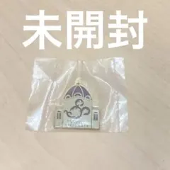 ディズニー3thミラコスタ ピンズ ディズニー3thミラコスタ ピンズ 新品 未使用】ディズニー ホテル