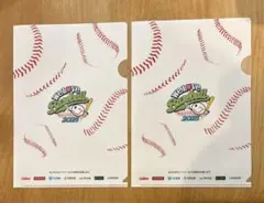 Item thumbnail for item 55c333c9-cdb3-4c52-9c4c-f0b81c537809