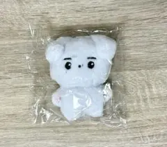 ソンフン　ドール　ぬいぐるみ enhypen sunghoon 15cm ENHYPEN ソンフン Sunghoon ぬいぐるみ 10cm