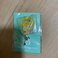 東京ディズニーリゾート25周年ピンバッジ