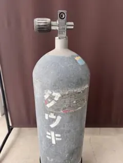 Item thumbnail for item 60909389-2688-4a06-8fe5-ad64f34d1c20