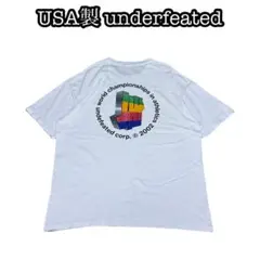 USA製 undefeated TEE vintage レインボー ヘビー 白
