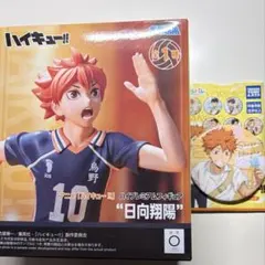 ハイキュー!! 日向翔陽 フィギュア カラパレより道缶バッジ セットのサムネイル