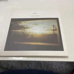 haruka nakamura grace