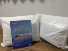 True Sleeper セブンスピローライト シングルのサムネイル