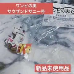 ONE PIECE ワンピの実 第八海戦 サニー号　サウザンドサニー号
