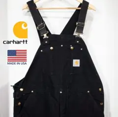 2025年最新】carhartt オーバーオール ダブルニーの人気アイテム