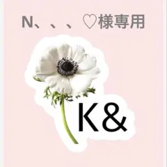 N、、、♡様専用