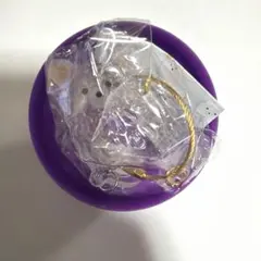 うちの子のけだまだま　白チワワ