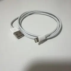 【Apple純正】新品Lightningケーブル USBケーブル ホワイト