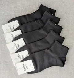 Item thumbnail for item 2ec7997c-d69d-419a-bf7a-d585fba98b3e