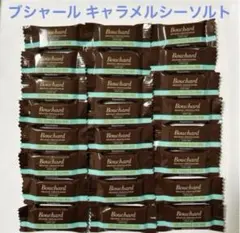 ブシャール ミルクベルギーチョコレート カラメルシーソルト 塩キャラメル お試しのサムネイル