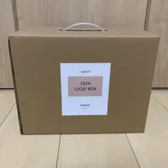 福袋　サリュ！2024 LUCKY BOX ラッキーボックス　おうちシリーズ