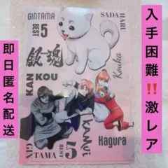 入手困難新品未開封 銀魂後祭り特典ファイル 夜兎家族 神威 神楽 江華 星海坊主