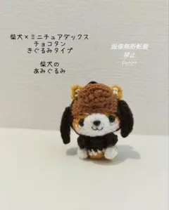 ミニチュアダックスの着ぐるみを着た 柴犬のあみぐるみ 飾れるタイプ
