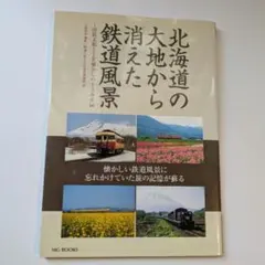 ローカル線をゆく 9冊 ＋ 付録 セット ローカル線をゆく 9冊 ＋ 付録 セット - メルカリ