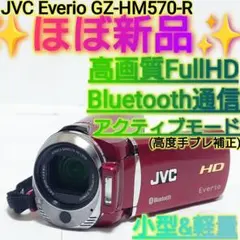 ✨ほぼ新品✨ JVC Everio GZ-HM570-R ビデオカメラ